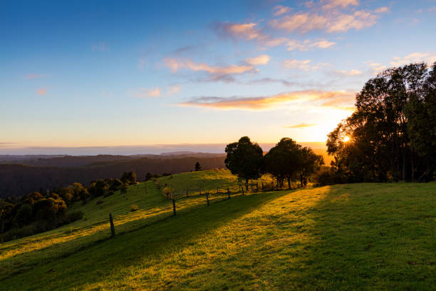 istock Sunrise view from the Gold Coast hinterland 803212884
