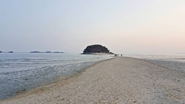 島への道 - pacific ocean tourist resort day reflection ストックフォトと画像