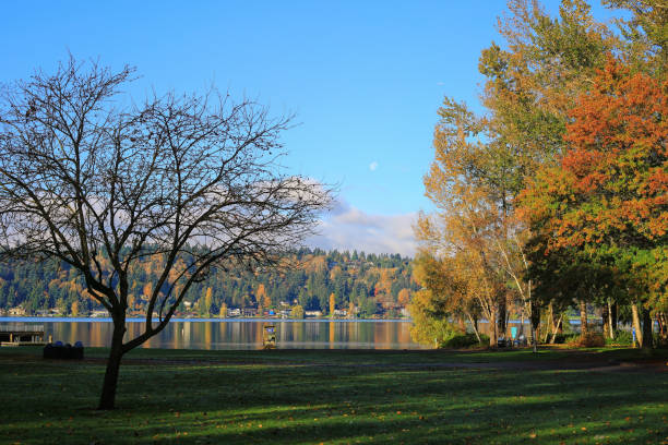 istock Autumn Morning in Bellevue Park 803223204