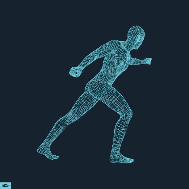 istock Fighter. 3D Model of Man. Human Body. Sport Symbol. Vector Illustration. 803229792