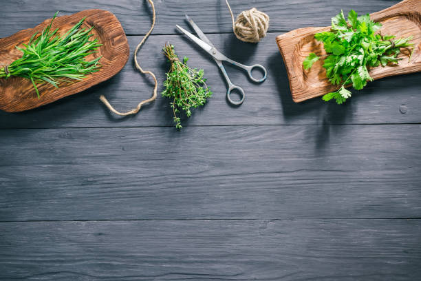 Fresh herbs, scissors and string Fresh thyme, tarragon and cilantro bunches on wooden plates with scissors and string for tying. Matt black wooden background. Top view tarragon cutting board vegetable herb stock pictures, royalty-free photos & images