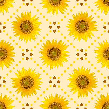 Seamless pattern with big bright sunflowers and brown dots on yellow background