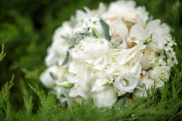 istock wedding bouquet of white roses and hydrangeas 803266172