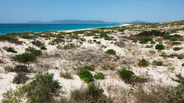 istock Beach Landscape in Portugal 803270566