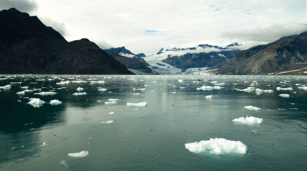 lodowaty przepływ kenai fiordy alaska harding lodowe pole aialik lodowiec - glacier alaska iceberg melting zdjęcia i obrazy z banku zdjęć