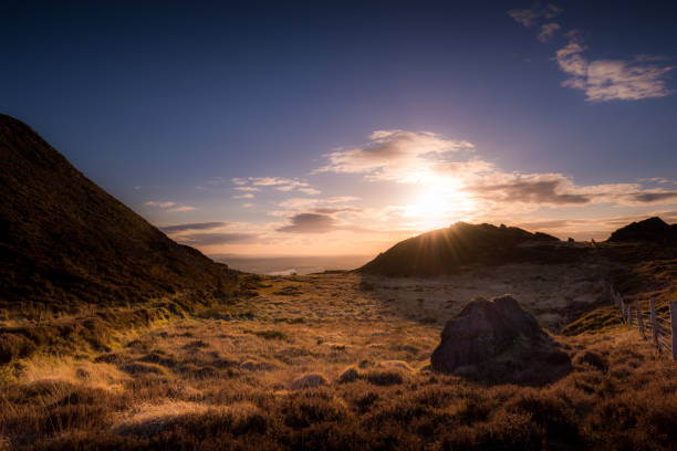 wenig brei unter das abendlicht - magic hour stock-fotos und bilder