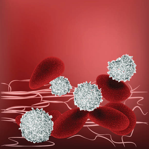 istock Macro of red blood cells white blood cells flowing through veins. 803274446