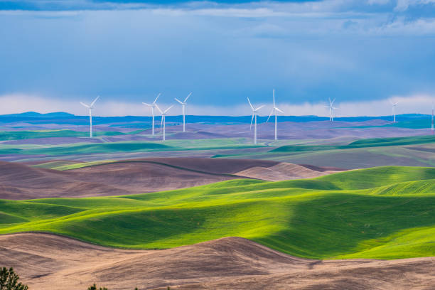 istock Palouse Wind Turbines. Amazing green hills. 803291602