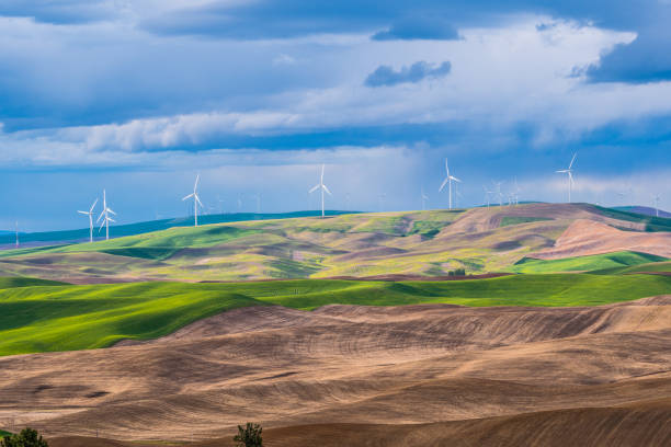istock Palouse Wind Turbines. Amazing green hills. 803294284