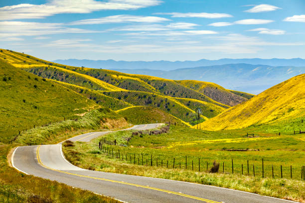 istock Carrisa Highway through flower covered Temblor Hills to Carrizo Plain. 803299886