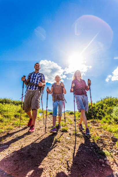 istock Family camping in the mountains 803300022