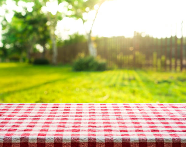 istock Red checkered tablecloth texture top with view garden, fence ,field 803300426