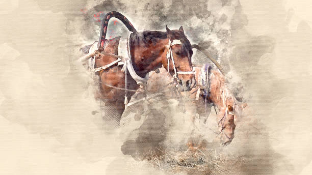 istock team of horses and cart 803311470