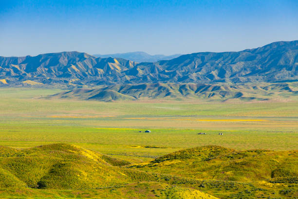 Looking Across Carrizo Plain from Temblor Range to Caliente Range Looking across the green open grassland plain with patches of yellow flowers  between the Temblor Range and Caliente range in Carrizo Plain National Monument, San Luis Obispo County, California. carrizo plain stock pictures, royalty-free photos & images