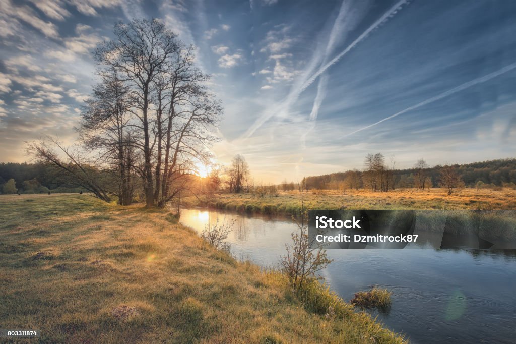 Phong cảnh thiên nhiên tuyệt đẹp trên một dòng sông hoang sơ với ánh nắng mặt trời rực rỡ trên bầu trời đường chân trời với những đám mây - Trả phí Bản quyền Một lần Ban ngày Bức ảnh sẵn có Phong cảnh thiên nhiên tuyệt đẹp trên một dòng sông hoang sơ với ánh nắng mặt trời rực rỡ trên bầu trời đường chân trời với những đám mây - Trả phí Bản quyền Một lần Ban ngày Bức ảnh sẵn có