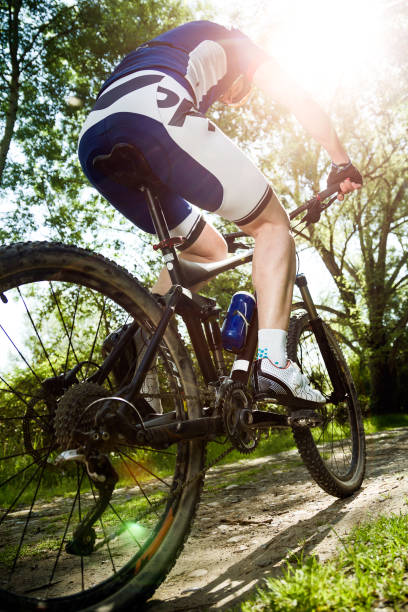istock Handsome young man cycling in the mountain. 803312712