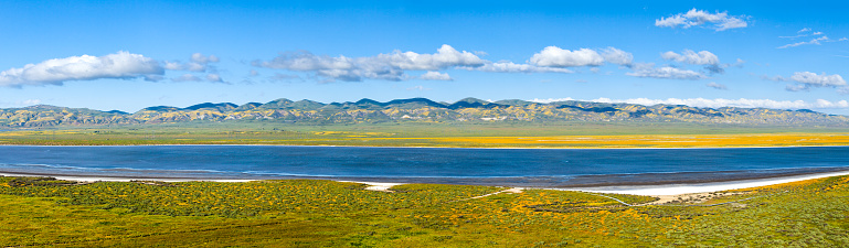 Soda Lake, topped off with water following a strong rain season and outlined in whitewith it's salty banks, with a surrounding carpet of Spring super bloom of flowers, predominately the yellows of hillside daisies, with the Temblor mountain range in the background as cumulus clouds roll across the landscape in late afternoon light.