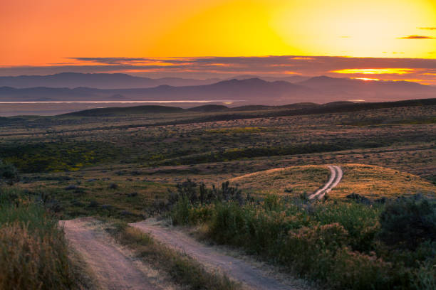 istock Dirt Road Across Carrizo Plain Landscape at Sunsut 803328700