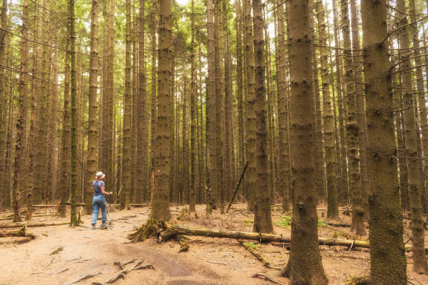 istock Senior woman exercising in the forest 803330802