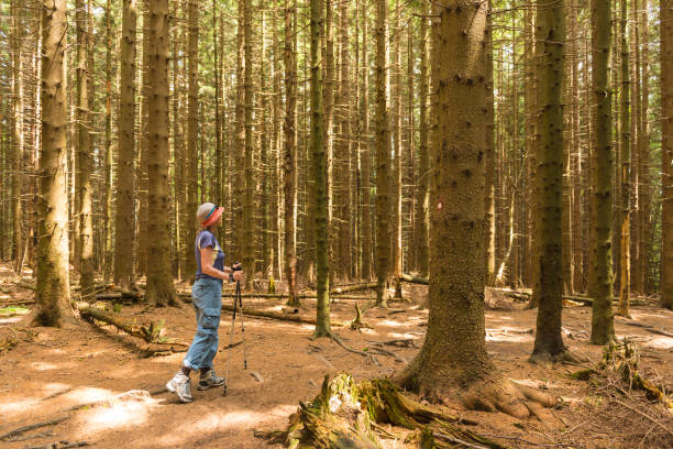 istock Senior woman exercising in the forest 803331084