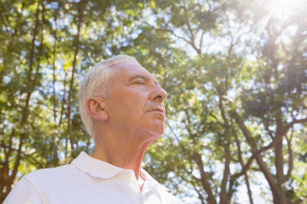 istock Senior man meditating in the forest 803346534