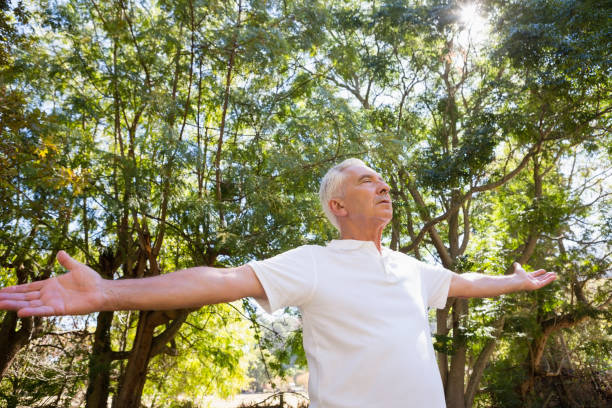istock Senior man with arms outstretched in the forest 803346548