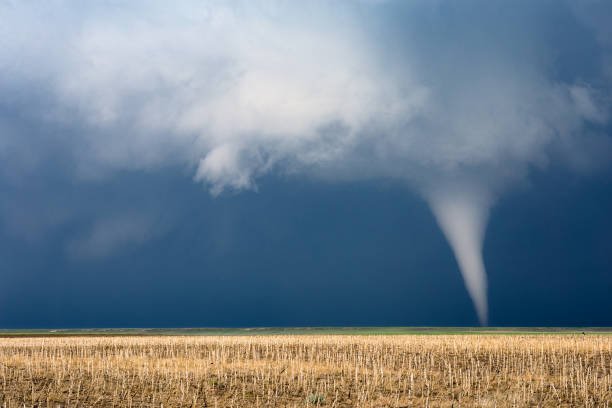 Tornado Tornado with dark storm clouds tornado stock pictures, royalty-free photos & images