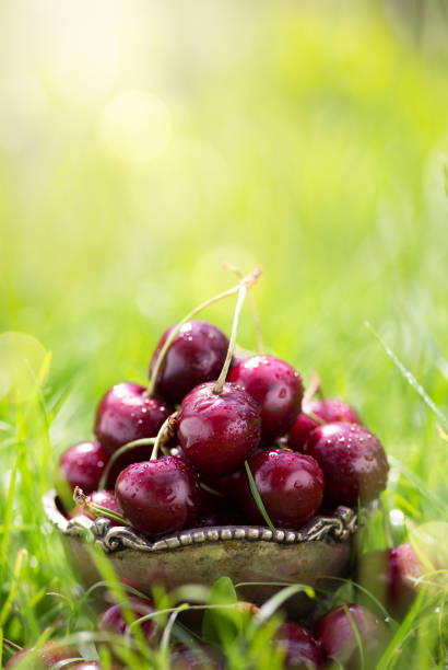 istock healthy summer food; fresh cherry fruit on a green background 803358506