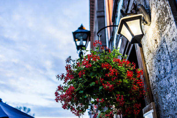 istock Illuminated lantern at night with blue sky and red pelargonium flowers on wall with menu in old town area of city of Quebec region 803363164
