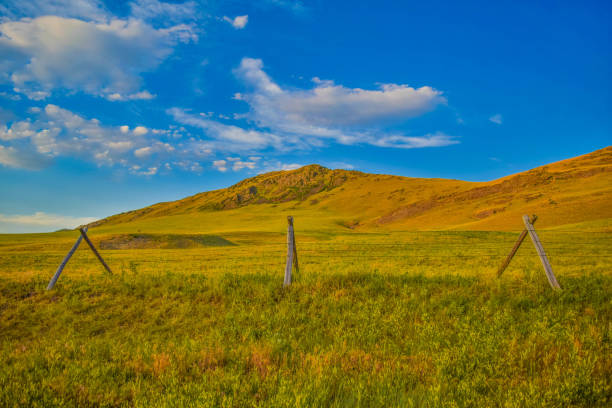 istock Golden Hour on Rural Hills 803369276