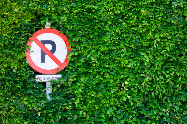 istock No Parking Sign overgrown by a Hedge 803372344