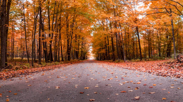 couleurs d’automne sur une route du michigan - autumn landscape usa country road photos et images de collection