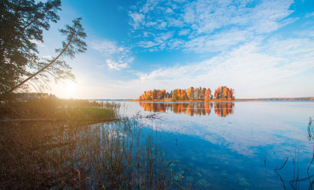 istock Autumnal Park. Autumn Trees and lake 803406210