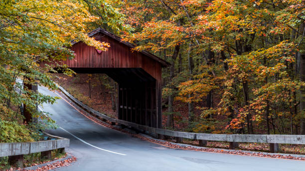 Covered bridge on a scenic drive  Traverse City in autumn Covered bridge in autumn on a scenic drive  in Traverse City Michigan tree lined driveway stock pictures, royalty-free photos & images