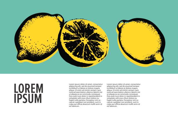 Vector hand drawn lemon. Vector hand drawn lemon. Tropical fruit. Sketch. Pop art. Healthy eating vector concept with lemons and copyspace. Diet and organic food template. lemon fruit illustrations stock illustrations