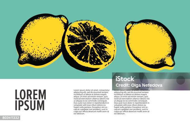 Vector Hand Drawn Lemon Stock Illustration - Download Image Now - Lemon - Fruit, Retro Style, Illustration