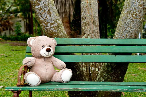 Teddy Bear with rustic green wooden bench seat near trees