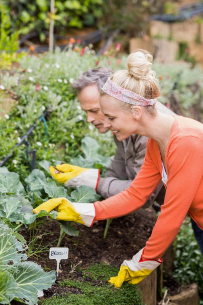 istock Cute couple doing some gardening 803429654