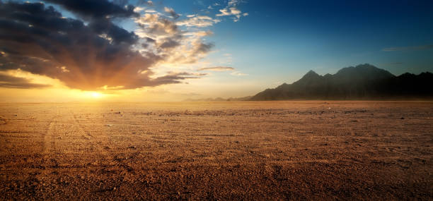désert rocheux égyptien - sinai peninsula photos et images de collection