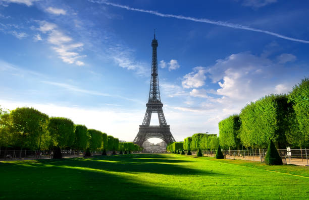 istock Morning on Champs de Mars 803432320