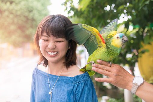 Young woman letting parrot on her shoulder
