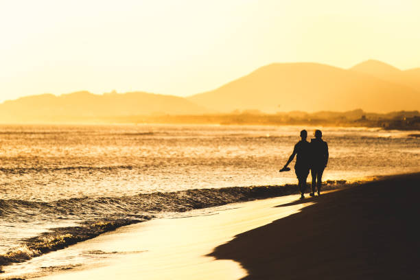 istock Silhouette of two friends 803445110