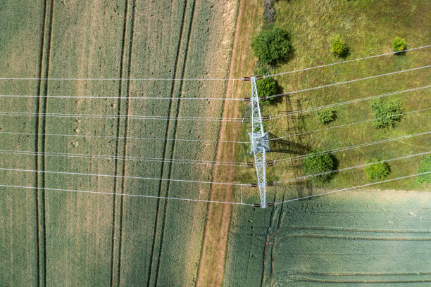 istock Agricultural area, fields and transmission lines 803445184