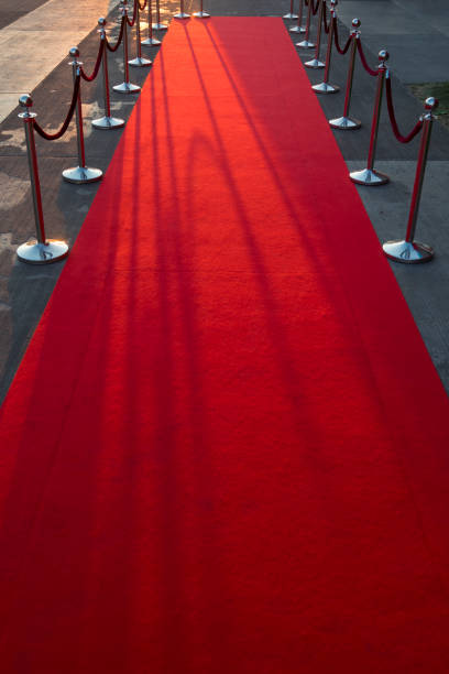 istock Long red carpet between rope barriers on VIP entrance. 803451350