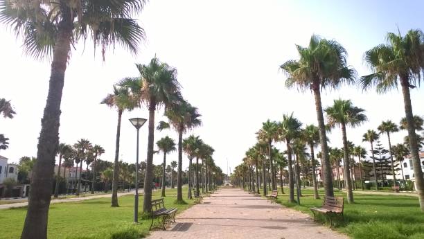istock garden sidi rahal3 casablanca morocco 803451398