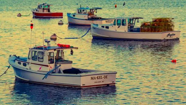 Photo of Sunset Lobster Boats Moored at Wiscasset Harbor, Maine