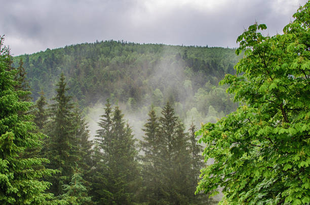 istock The landscape on the Carpathian Mountains in Ukraine 803510148