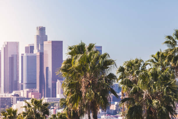 istock DTLA Downtown Los Angeles 803524876