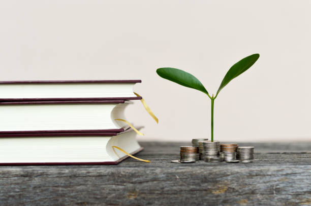 istock Coins stack with growing tree and book stack , Money, Financial, Business Growth concept.selective focus. 803541006