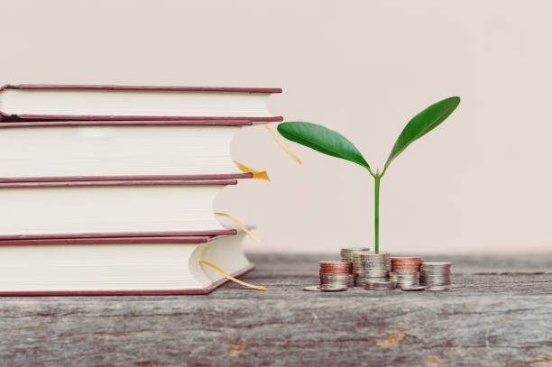istock Coins stack with growing tree and book stack , Money, Financial, Business Growth concept.selective focus. 803545418